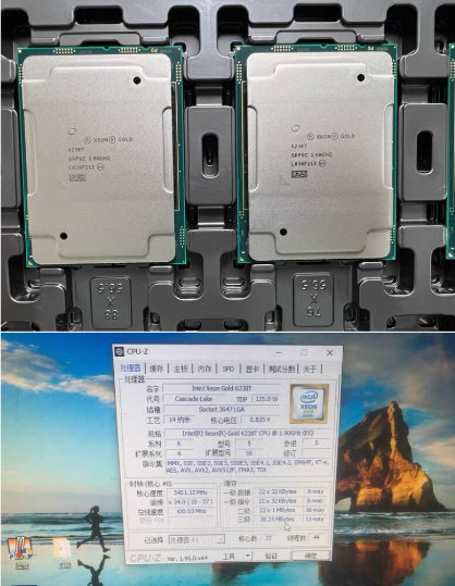 1 stuk Xeon Gold 6226 6230 623 - Gold 6248R recensie en prijs
